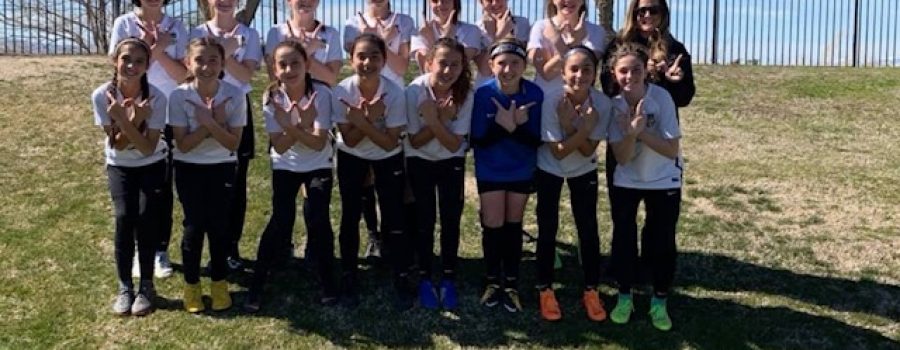 Eclipse Ladies 2006 Advance to Elite 8 Quaterfinals in Cal South State Cup.