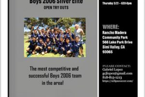 Boys 2006 Sliver  Elite Tryouts