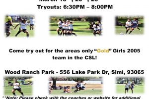 Girls “Gold” 2005 Team Tryouts – Date Changes!